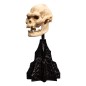 Le Seigneur des Anneaux - Statuette Skull of Lurtz 14 cm