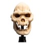 Le Seigneur des Anneaux - Statuette Skull of Lurtz 14 cm