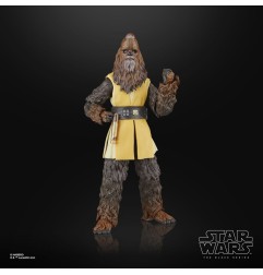 Star Wars : The Acolyte Black Series - Figurine Jedi Master Kelnacca 15 cm
