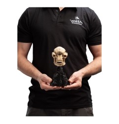 Le Seigneur des Anneaux - Statuette Skull of a Cave Troll 21 cm