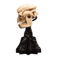 Le Seigneur des Anneaux - Statuette Skull of a Cave Troll 21 cm