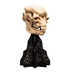 Le Seigneur des Anneaux - Statuette Skull of a Cave Troll 21 cm