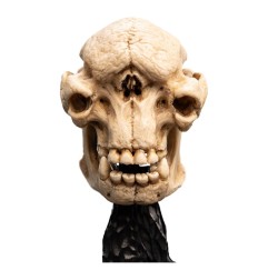 Le Seigneur des Anneaux - Statuette Skull of a Cave Troll 21 cm