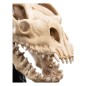 Le Seigneur des Anneaux - Statuette Skull of a Fell Beast 21 cm Le Seigneur des Anneaux - Statuette Skull of a Fell Beast 21 cm