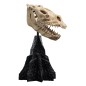 Le Seigneur des Anneaux - Statuette Skull of a Fell Beast 21 cm Le Seigneur des Anneaux - Statuette Skull of a Fell Beast 21 cm