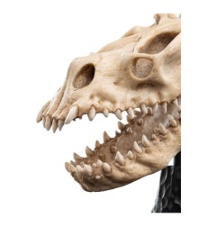 Le Seigneur des Anneaux - Statuette Skull of a Fell Beast 21 cm