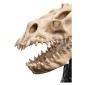 Le Seigneur des Anneaux - Statuette Skull of a Fell Beast 21 cm Le Seigneur des Anneaux - Statuette Skull of a Fell Beast 21 cm
