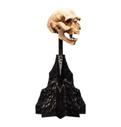 Le Seigneur des Anneaux - Statuette Skull of a Moria Orc 13 cm