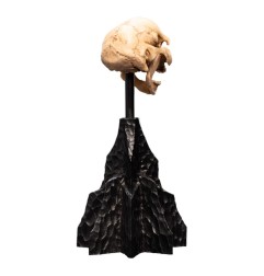 Le Seigneur des Anneaux - Statuette Skull of a Moria Orc 13 cm