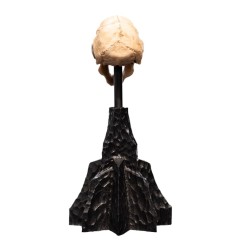Le Seigneur des Anneaux - Statuette Skull of a Moria Orc 13 cm