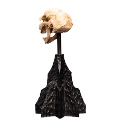 Le Seigneur des Anneaux - Statuette Skull of a Moria Orc 13 cm