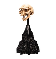 Le Seigneur des Anneaux - Statuette Skull of a Moria Orc 13 cm