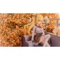 Tricolour Lovestory - Statuette PVC 1/7 Te Chi Guo 25 cm