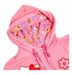 Sanrio - By Loungefly sweater ÃÂ  capuche Unisexe  & Friends 