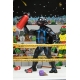 Tortues Ninja (Archie Comics) - Pack de 4 Figurines Stump Wrestling Turtles 18 cm