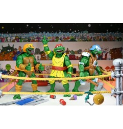 Tortues Ninja - (Archie Comics) figurines Pack de 4 Stump Wrestling Turtles 18 cm