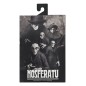 Nosferatu (1922) - Figurine Ultimate Count Orlok 18 cm