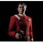 Star Trek - 6 : Terre inconnue figurine 1/6 Captain Hikaru Sulu 28 cm