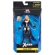 Marvel Legends Series - Figurine Emma Frost 15 cm