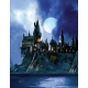 Harry Potter - Carte pop-up 3D Hogwarts Castle