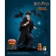 Harry Potter - Figurine 1/6 My Favourite Movie (Child) Halloween Limited Edition 25 cm