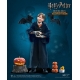 Harry Potter - Figurine 1/6 My Favourite Movie Ron Weasley (Child) Halloween Limited Edition 25 cm