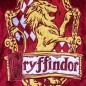 Harry Potter - Sweater à capuche Gryffondor