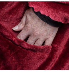 Harry Potter - Sweater à capuche Gryffondor