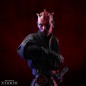 Star Wars - Buste Dark Maul x2 Â Star Wars - Buste Dark Maul x2 Â