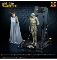 La Fiancée de Frankenstein - Figurine Plastic Model Kit 1/8 Bride of  21 cm
