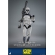Star Wars The Clone Wars - Figurine 1/6 104th Battalion Wolfpack Clone Trooper 30 cm