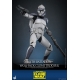 Star Wars The Clone Wars - Figurine 1/6 104th Battalion Wolfpack Clone Trooper 30 cm