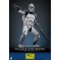 Star Wars - The Clone Wars figurine 1/6 104th Battalion Wolfpack Clone Trooper 30 cm