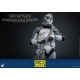 Star Wars The Clone Wars - Figurine 1/6 104th Battalion Wolfpack Clone Trooper 30 cm