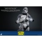 Star Wars - The Clone Wars figurine 1/6 104th Battalion Wolfpack Clone Trooper 30 cm