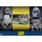 Star Wars - The Clone Wars figurine 1/6 104th Battalion Wolfpack Clone Trooper 30 cm