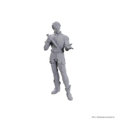 Dungeons & Dragons Nolzur's Marvelous - Miniatures miniature à peindre Gale & Astarion
