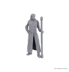 Dungeons & Dragons - D&D Nolzur's Marvelous Miniatures miniature à peindre Gale & Astarion