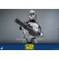 Star Wars - The Clone Wars figurine 1/6 104th Battalion Wolfpack Clone Trooper Deluxe Version 30 cm Star Wars - The Clone Wars figurine 1/6 104th Battalion Wolfpack Clone Trooper Deluxe Version 30 cm