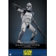 Star Wars The Clone Wars - Figurine 1/6 104th Battalion Wolfpack Clone Trooper Deluxe Version 30 cm