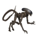Alien 3 - Figurine Ultimate Dog  23 cm