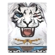 Squaroes - Magic: The Gathering Ajani Foundations MTG004