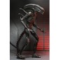 Alien: Romulus - Figurine Ultimate Xenomorph XX121 18 cm