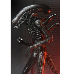 Alien: Romulus - Figurine Ultimate Xenomorph XX121 18 cm