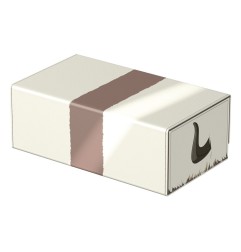 Squaroes - Collectors Case Avatar, le dernier maître de l'air Appa