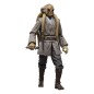Star Wars - Episode III Black Series figurine 20th Anniversary Kit Fisto 15 cm