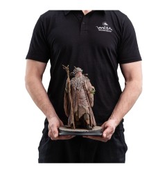 Le Seigneur des Anneaux - Statuette 1/6 Radagast 30 cm