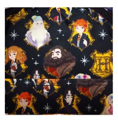 Harry Potter - Mini Sac à dos Spring By Loungefly