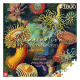 Ernst Haeckel - Puzzle Imagination Sea Anemones/Stworzenia morskie (1000 pièces)