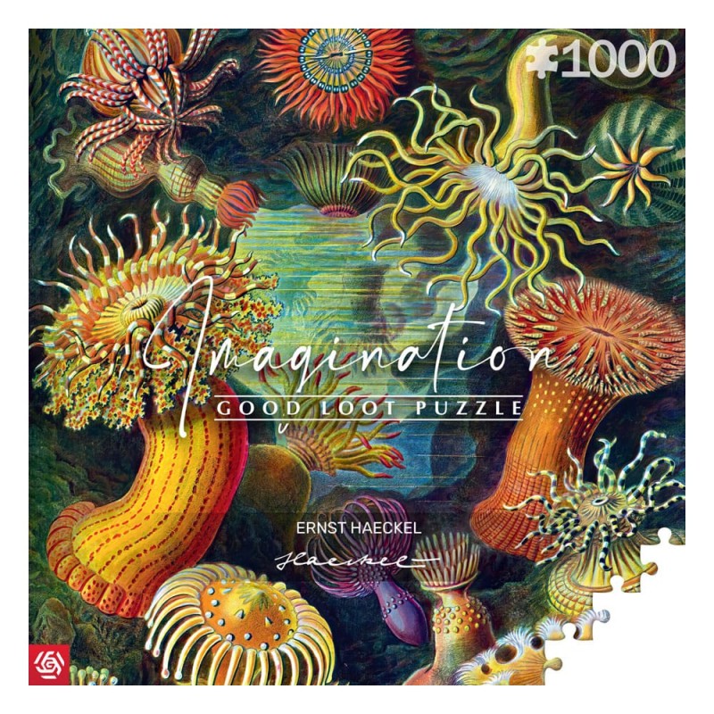 Ernst Haeckel - Puzzle Imagination Sea Anemones/Stworzenia morskie (1000 pièces)